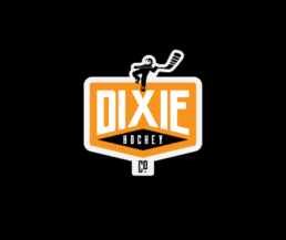 contemporary logo design hockey brand houston texas bend industries