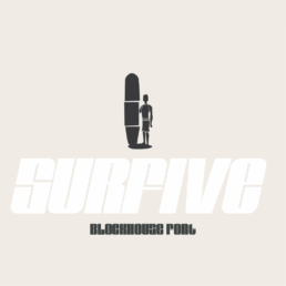 BlockHaus sleek modern display font for titles and professional designs.