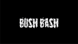 Bend Industries Fonts - Bush Bash