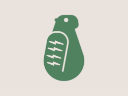 Iconic @ Bend - beaver